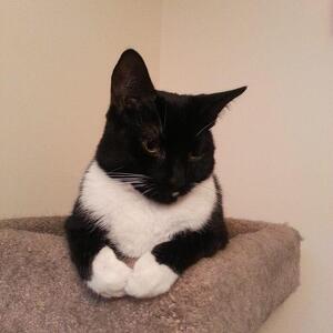 Fundraising Page: Rene Enders